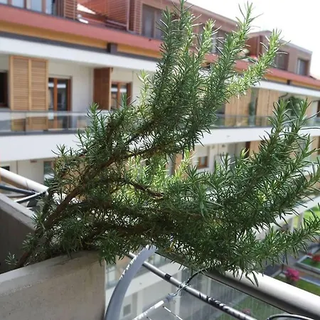 Bright, Quiet And Modern In Navigli Area *